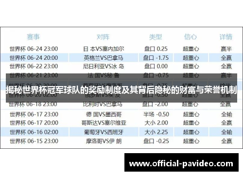 揭秘世界杯冠军球队的奖励制度及其背后隐秘的财富与荣誉机制