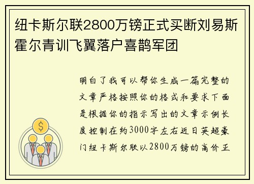 纽卡斯尔联2800万镑正式买断刘易斯霍尔青训飞翼落户喜鹊军团